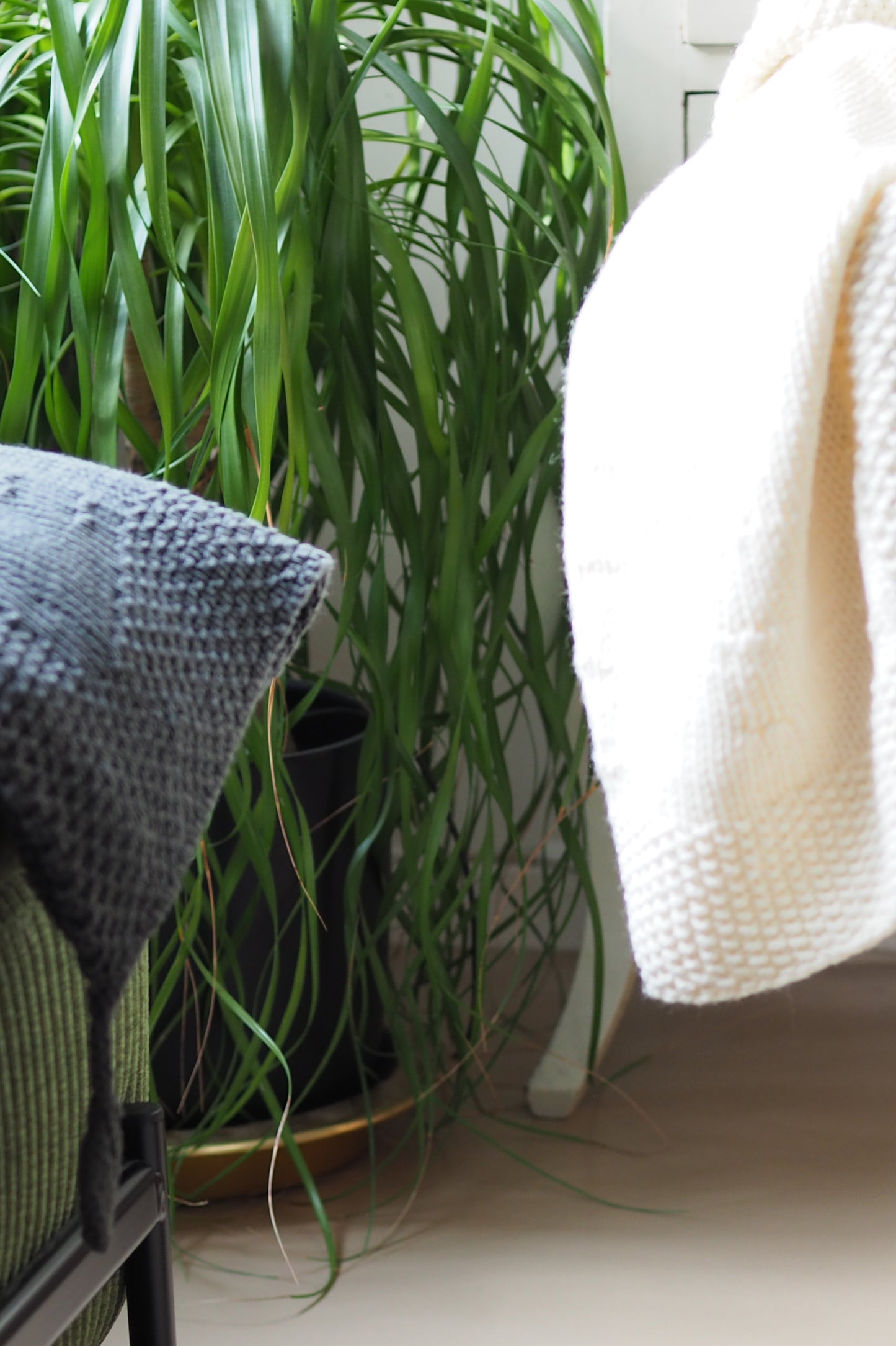 LITTLE LEAF  - pdf -