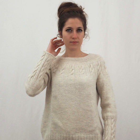 WE CAN BE HEROES -pdf-