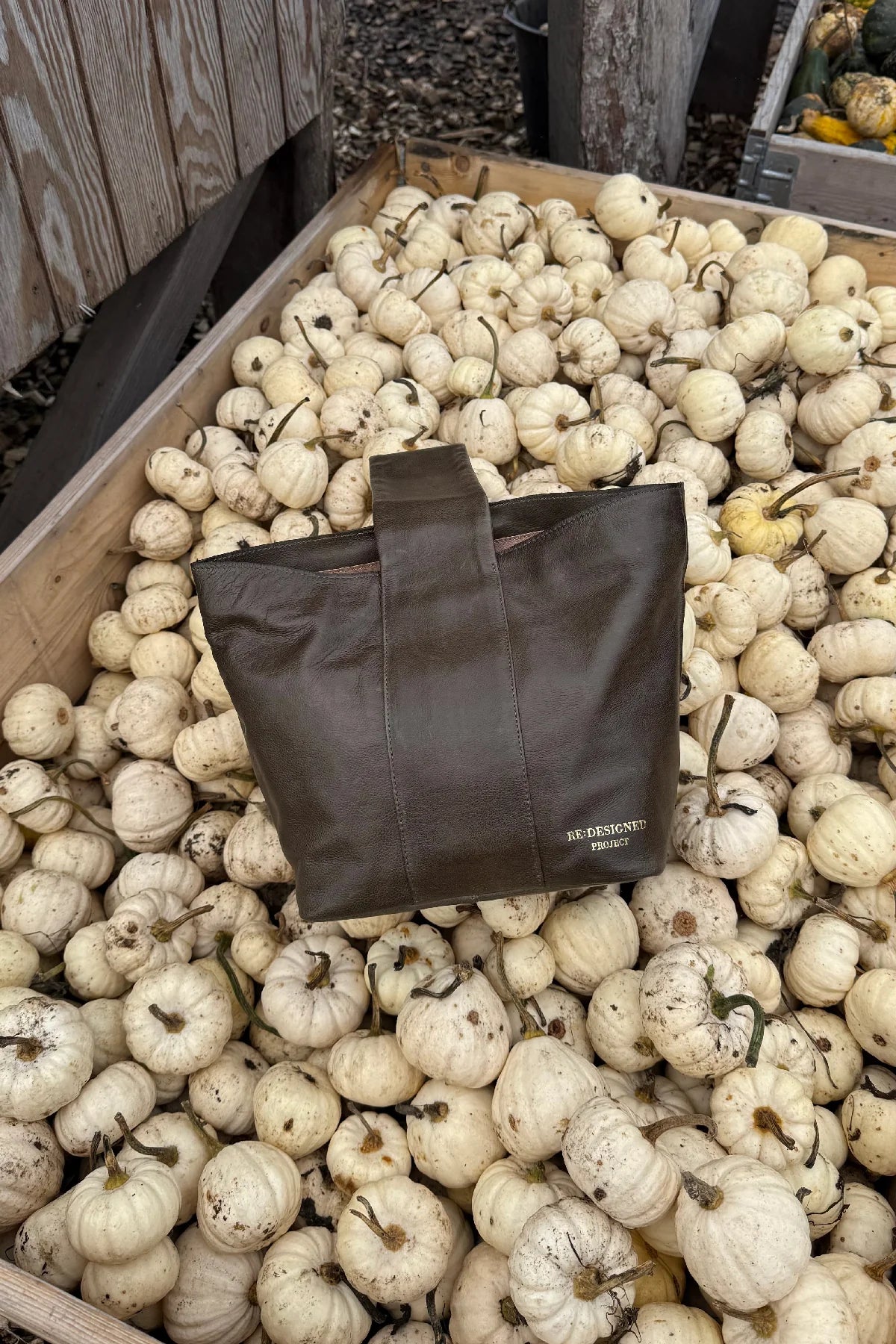 PROJECT PO81 - Farbe Dark Green -